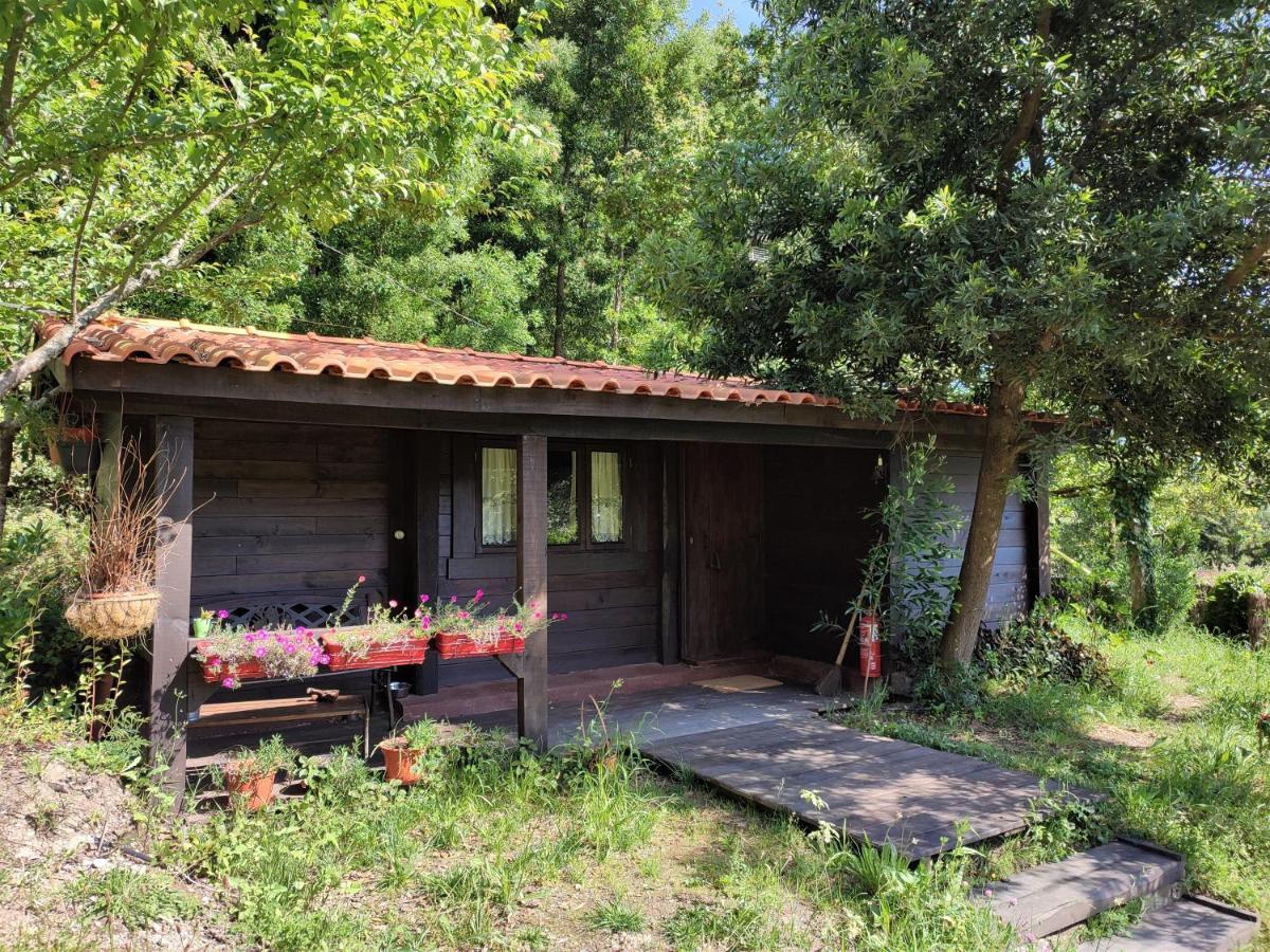 O Cantinho De Coura - A Cabana Паредиш-ди-Кора Экстерьер фото