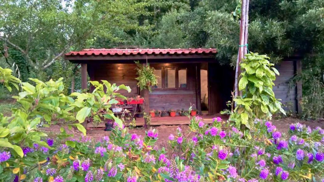 O Cantinho De Coura - A Cabana Паредиш-ди-Кора Экстерьер фото